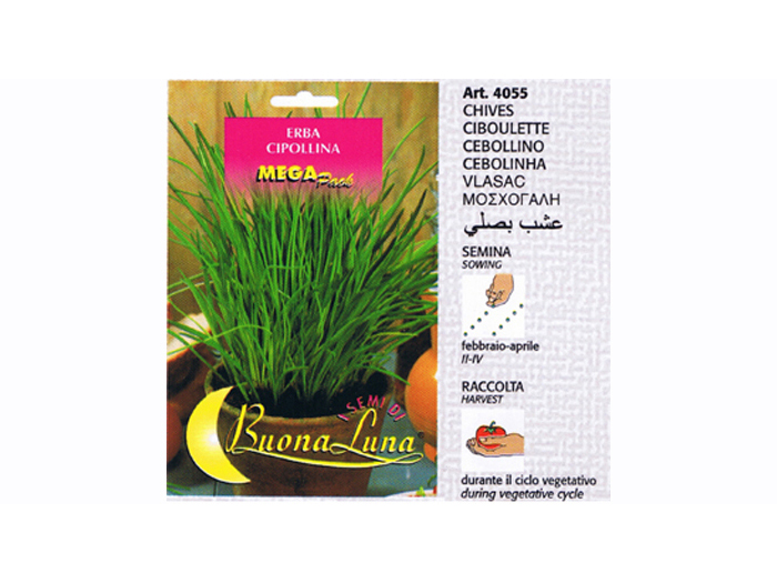 vegetable-seeds-chives