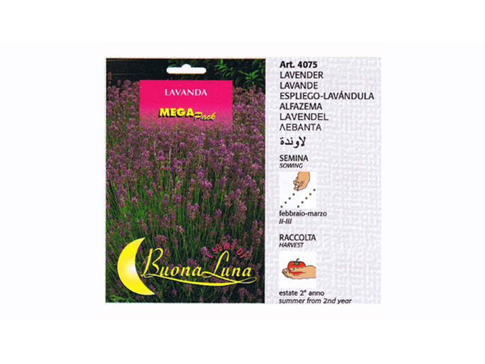 lavender-seeds