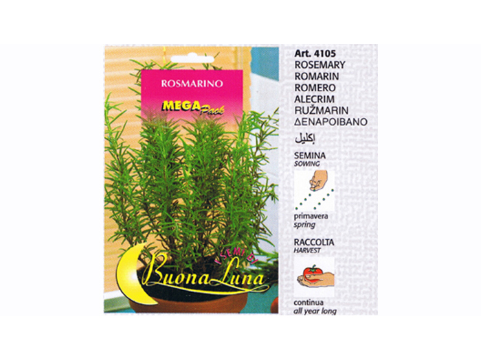 rosemary-seeds