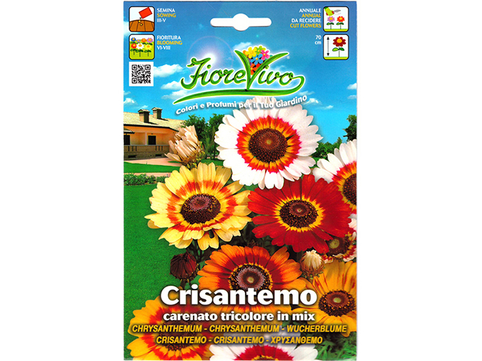 carinate-chrysanthemum-seeds-in-mix