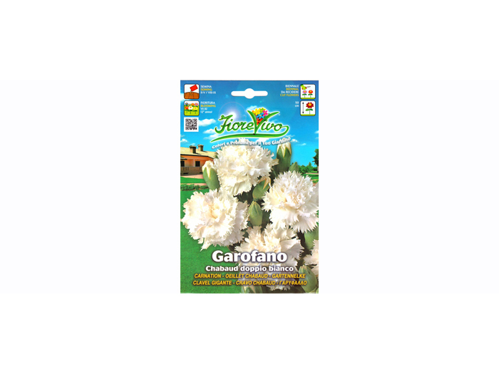 carnation-double-white-flower-seeds