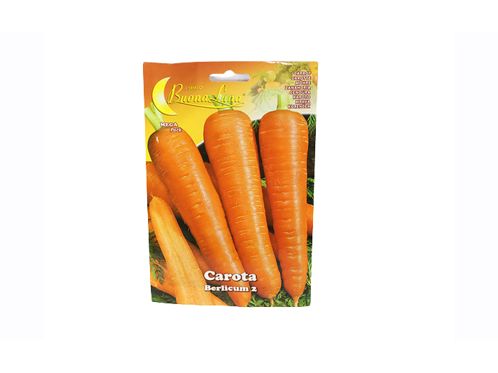 carrot-seeds