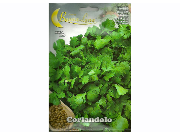 coriander-seeds