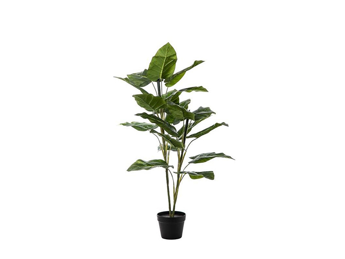 artificial-calla-leaf-plant-120-cm