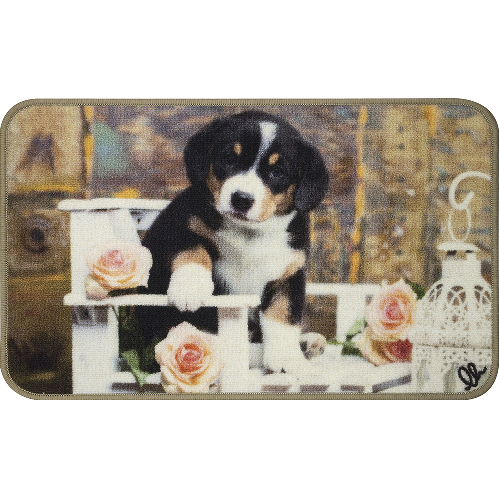 digital-printed-animal-design-carpet-44cm-x-75cm-4-assorted-designs