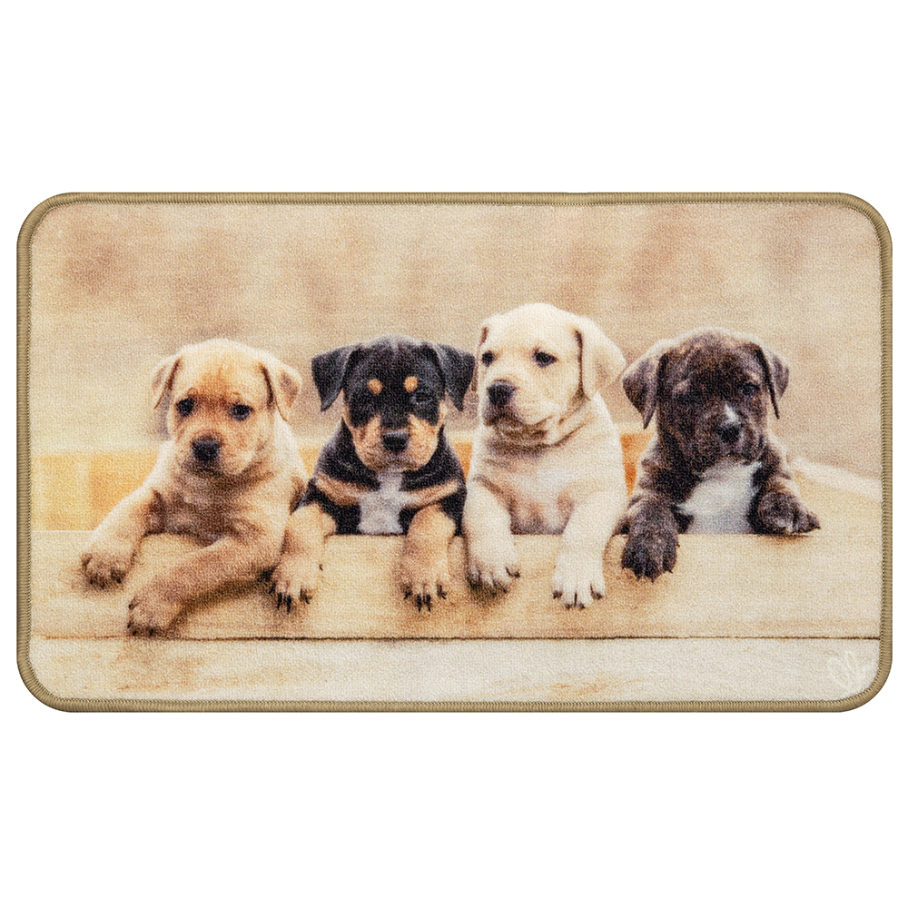 digital-printed-animal-design-carpet-44cm-x-75cm-4-assorted-designs