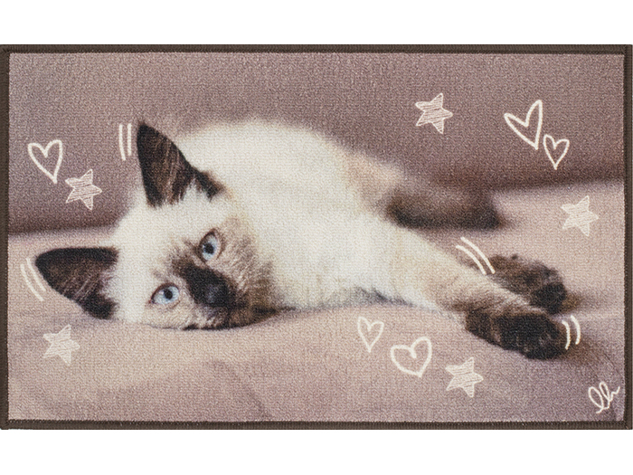 digital-design-pet-carpet-44cm-x-75cm-5-assorted-designs