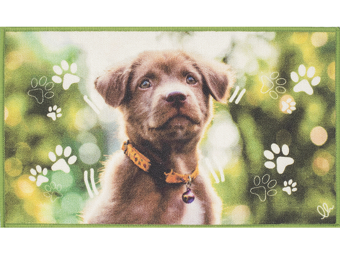 digital-design-pet-carpet-44cm-x-75cm-5-assorted-designs