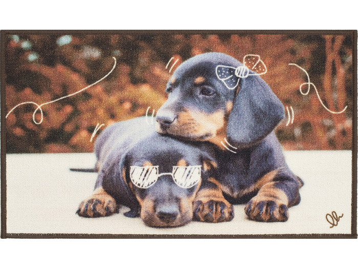 digital-design-pet-carpet-44cm-x-75cm-5-assorted-designs