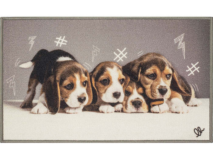 digital-design-pet-carpet-44cm-x-75cm-5-assorted-designs