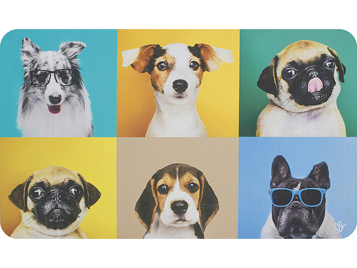 oasis-pet-design-carpet-45cm-x-75cm-5-assorted-designs