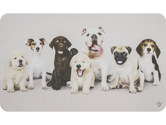 oasis-pet-design-carpet-45cm-x-75cm-5-assorted-designs