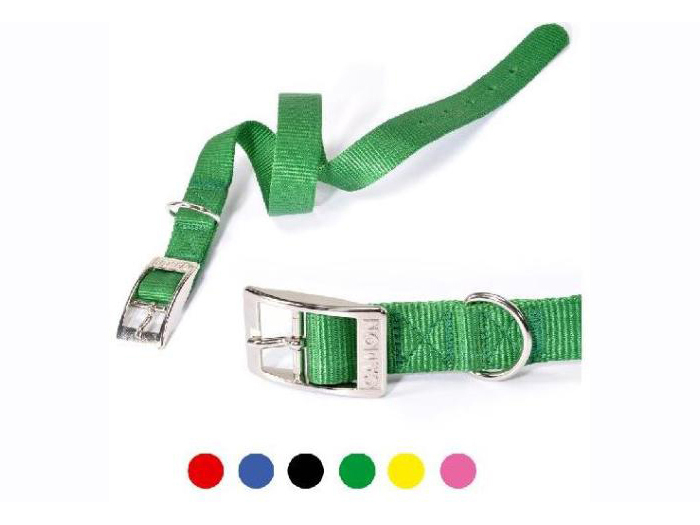 pet-nylon-collar-green-1-2-x-28-cm
