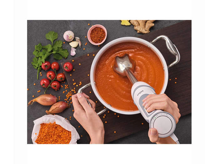 braun-multi-quick-5-hand-blender-1000-w
