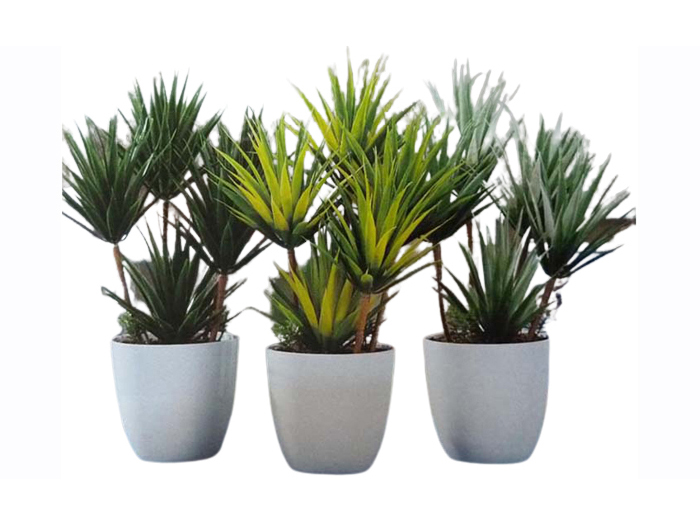 artificial-plant-in-plastic-pot-12cm-x-36cm-3-assorted-designs