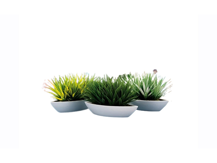 artificial-cactai-plant-in-pot-3-assorted-colours