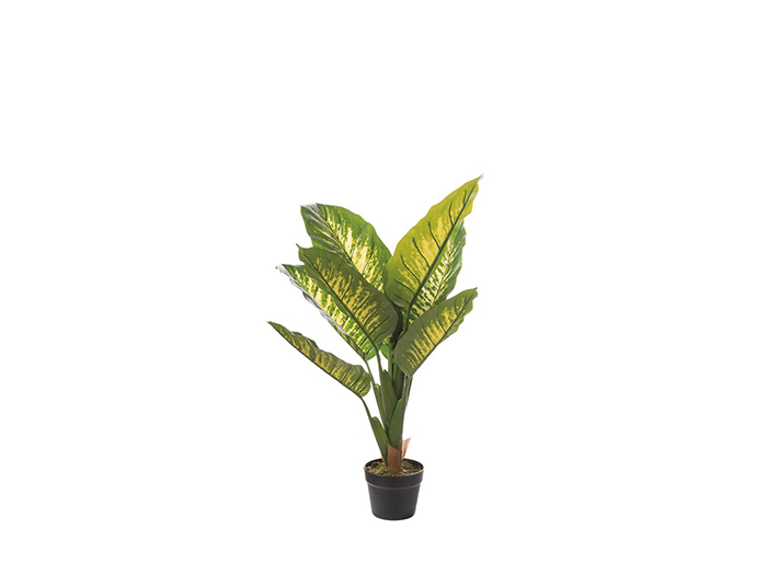 artificial-dieffenbachia-plant-in-plastic-pot