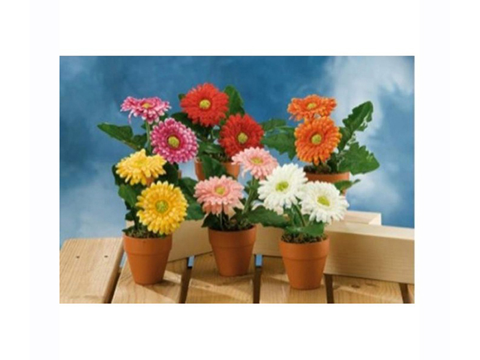 artificial-gerbera-plant-in-pot-12cm-x-18cm-in-6-assorted-colours