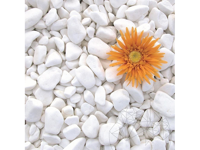 pebbles-thassos-white-20kg-6cm