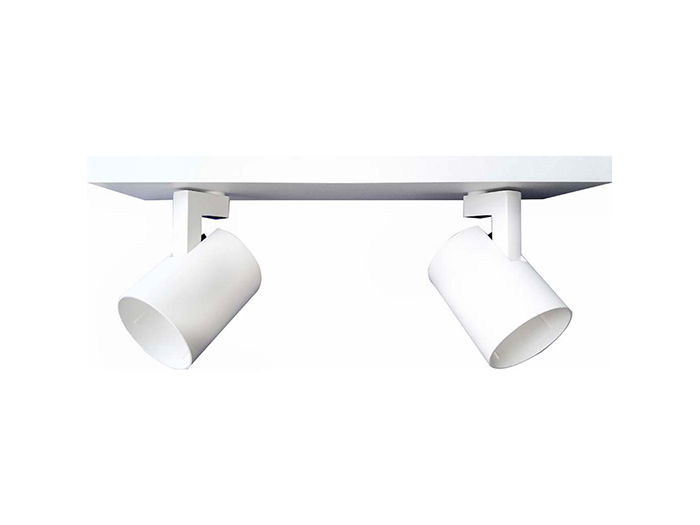 ceiling-adjust-lamp-2-points-30-5-x-9-cm-matt-white