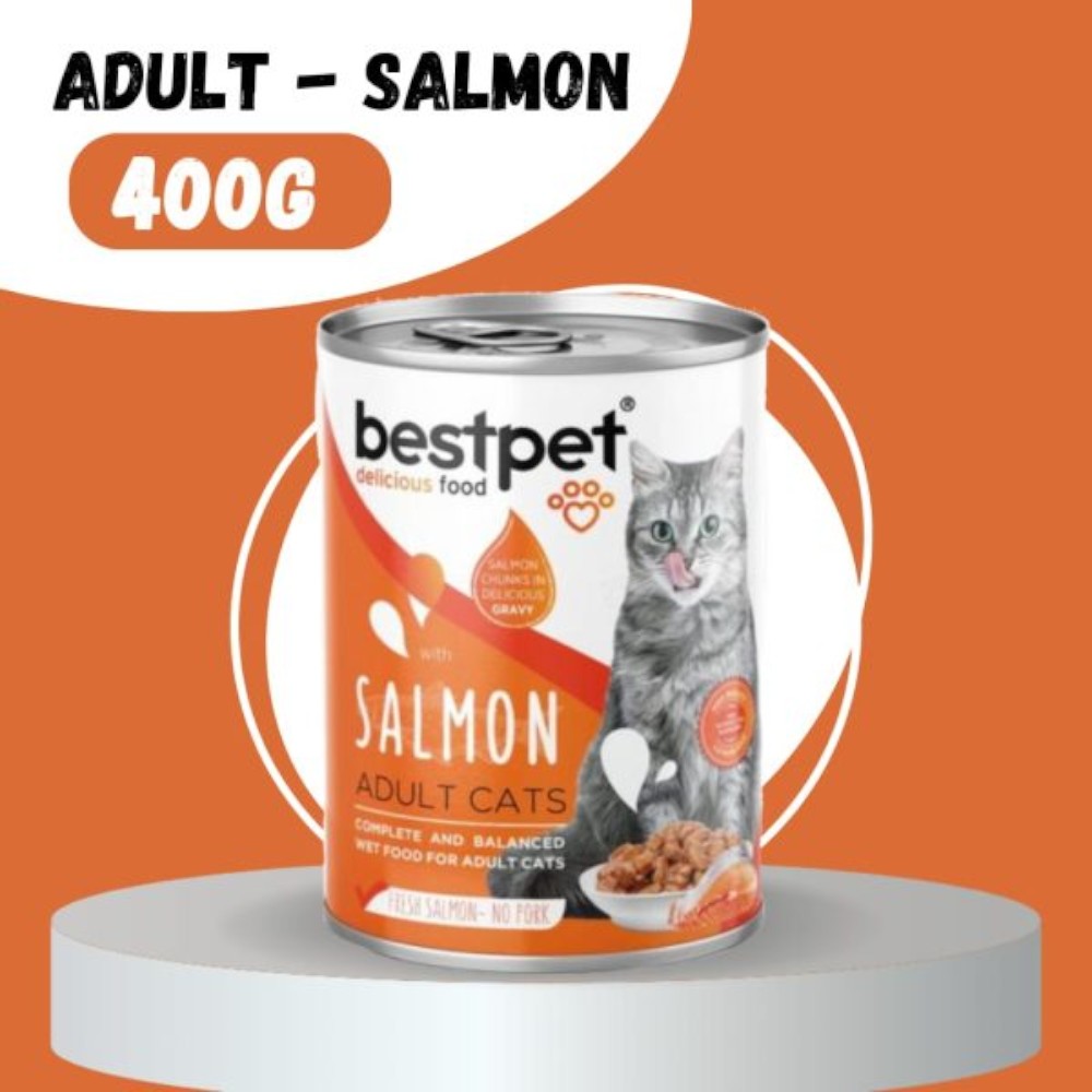 bestpet-gravy-canned-cat-food-with-salmon-chunks-400g-x-12