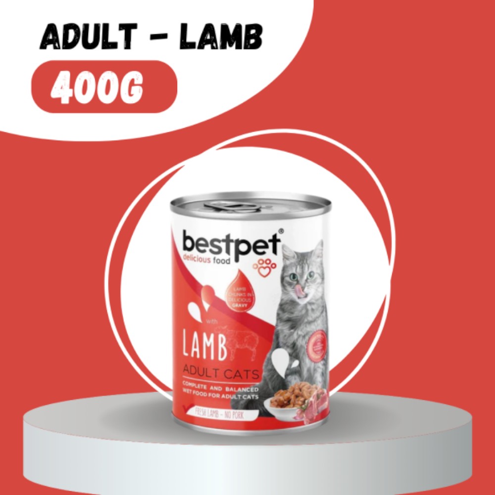 best-pet-adult-cat-lamb-can-400g-x-12