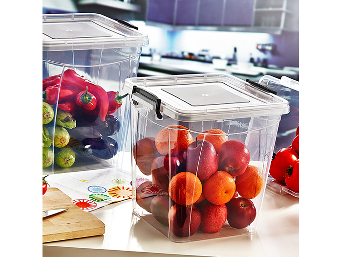 plastic-food-container-box-with-locking-lid-11l-2-assorted-colours
