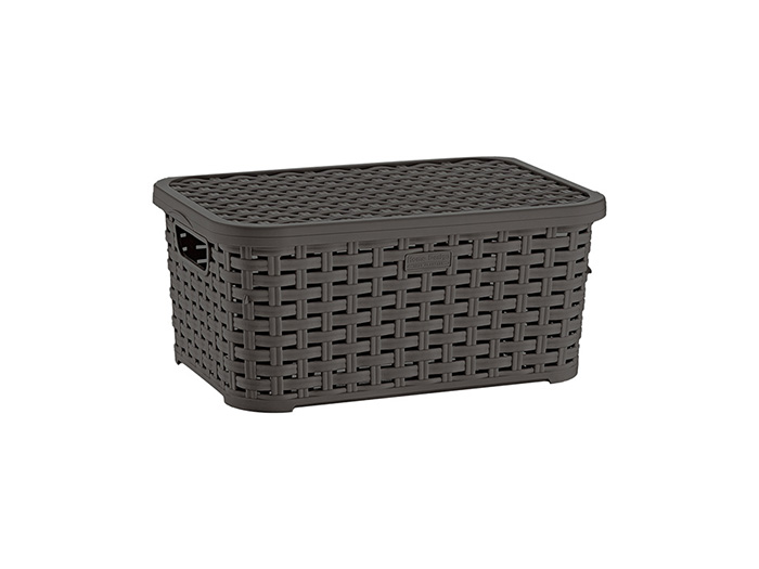 rattan-design-storage-basket-with-lid-5l-6-assorted-colours