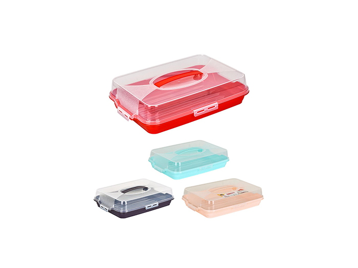 plastic-rectangular-cake-carry-case-container-8-assorted-colours