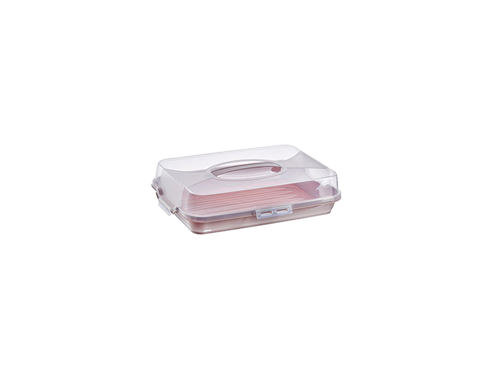 plastic-rectangular-cake-carry-case-container-8-assorted-colours