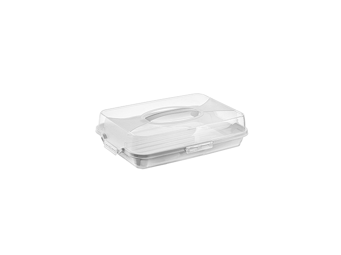 plastic-rectangular-cake-carry-case-container-8-assorted-colours