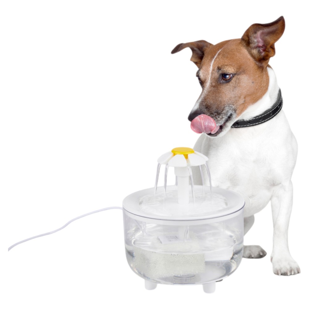 pet-treatment-electric-pet-drinking-fountain