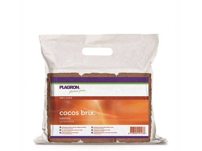 plagron-cocos-brix-6-pieces