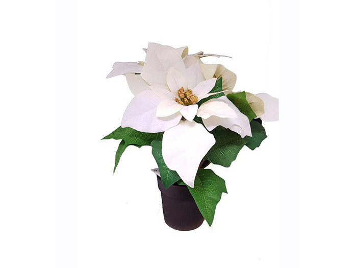 christmas-artificial-poinsettia-flower-white-24cm