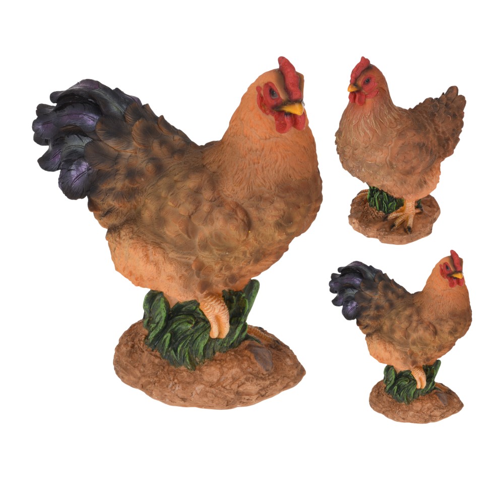 rooster-and-hen-standing
