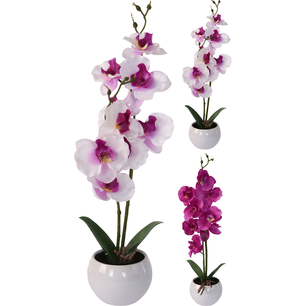artificial-orchid-plant-40cm-2-assorted-types-11-5cm-x-40cm