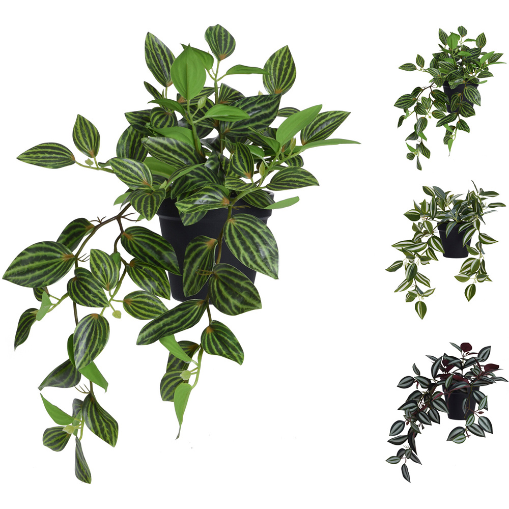 artificial-tradescantia-zebrina-plant-in-plastic-pot-3-assorted-colours