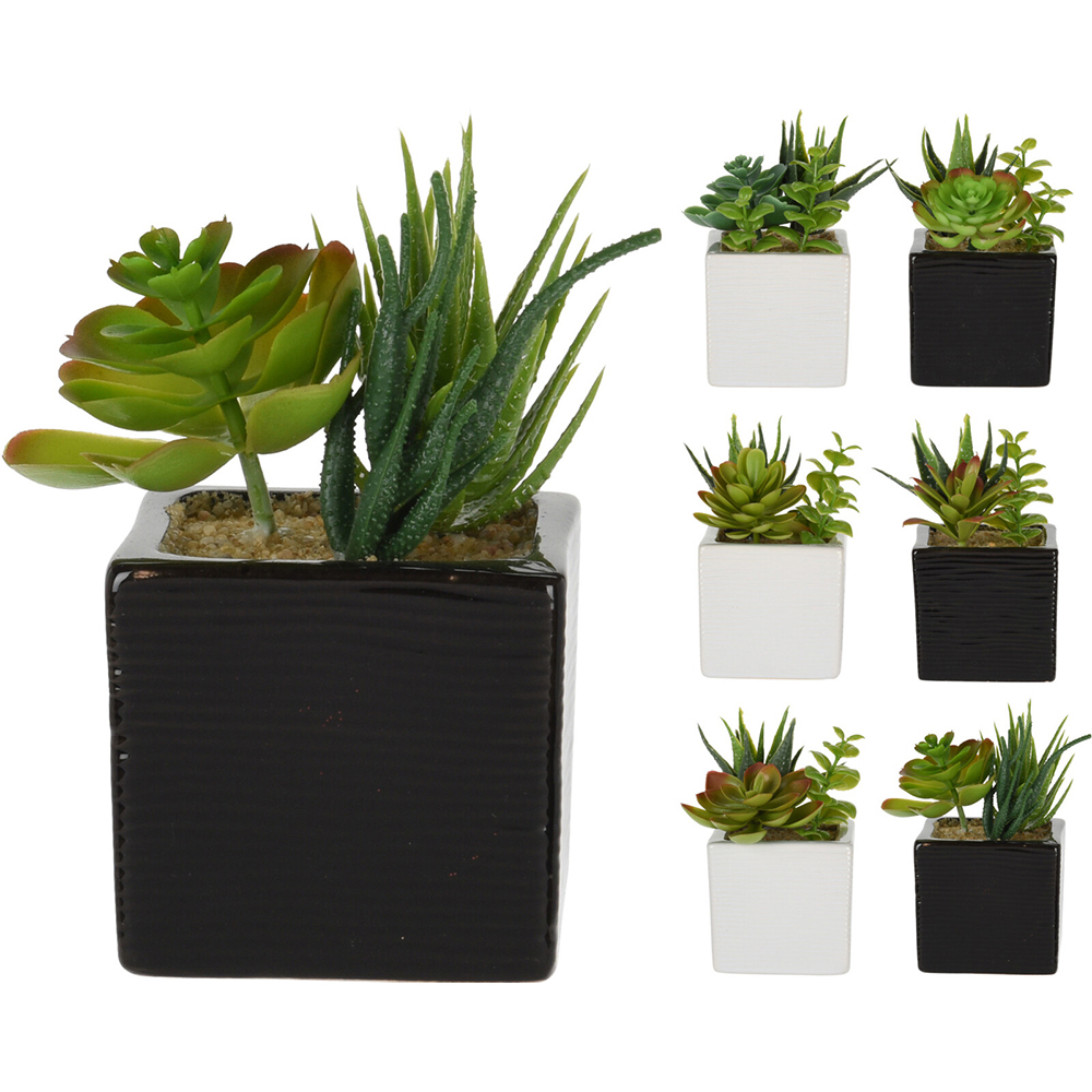 artificial-cactai-plant-in-ceramic-pot-6-assorted-designs