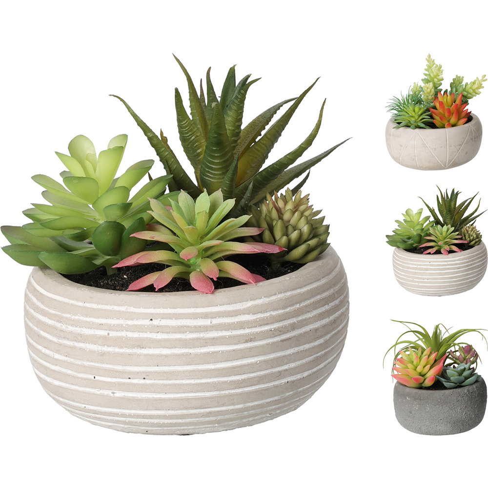 artificial-succulent-plant-14cm-3-assorted-designs