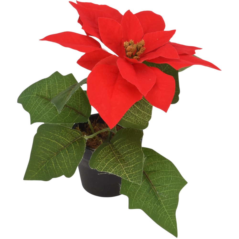 poinsettia-christmas-flower-red-green-19-cm
