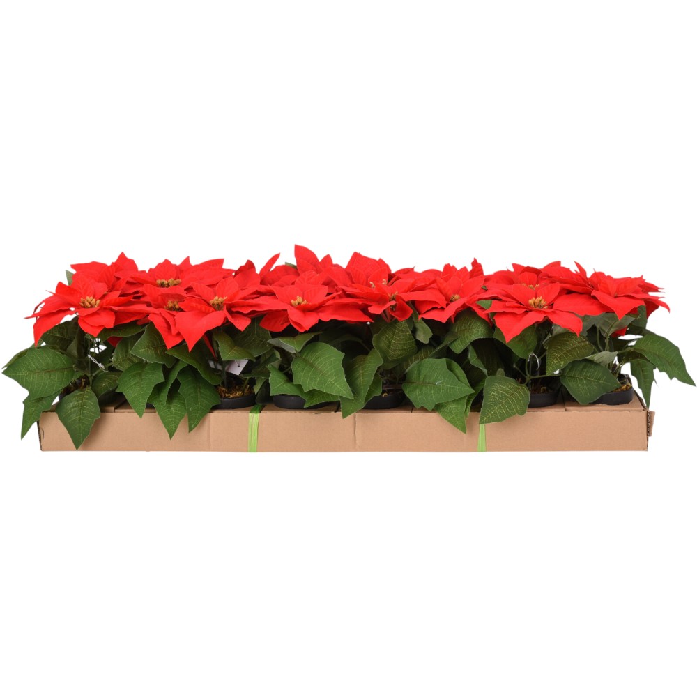 poinsettia-christmas-flower-red-green-19-cm