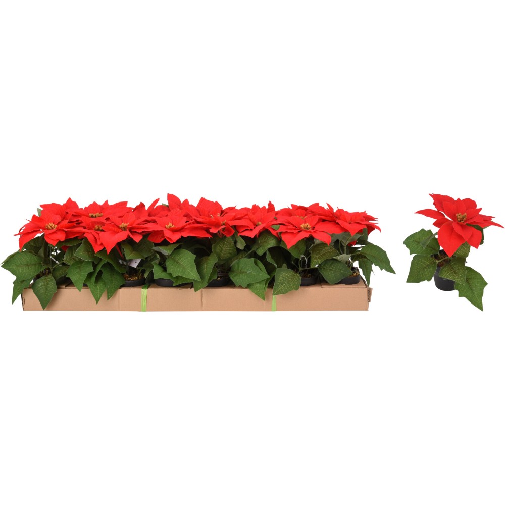 poinsettia-christmas-flower-red-green-19-cm