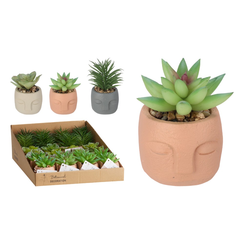plant-in-cement-pot-3-assorted