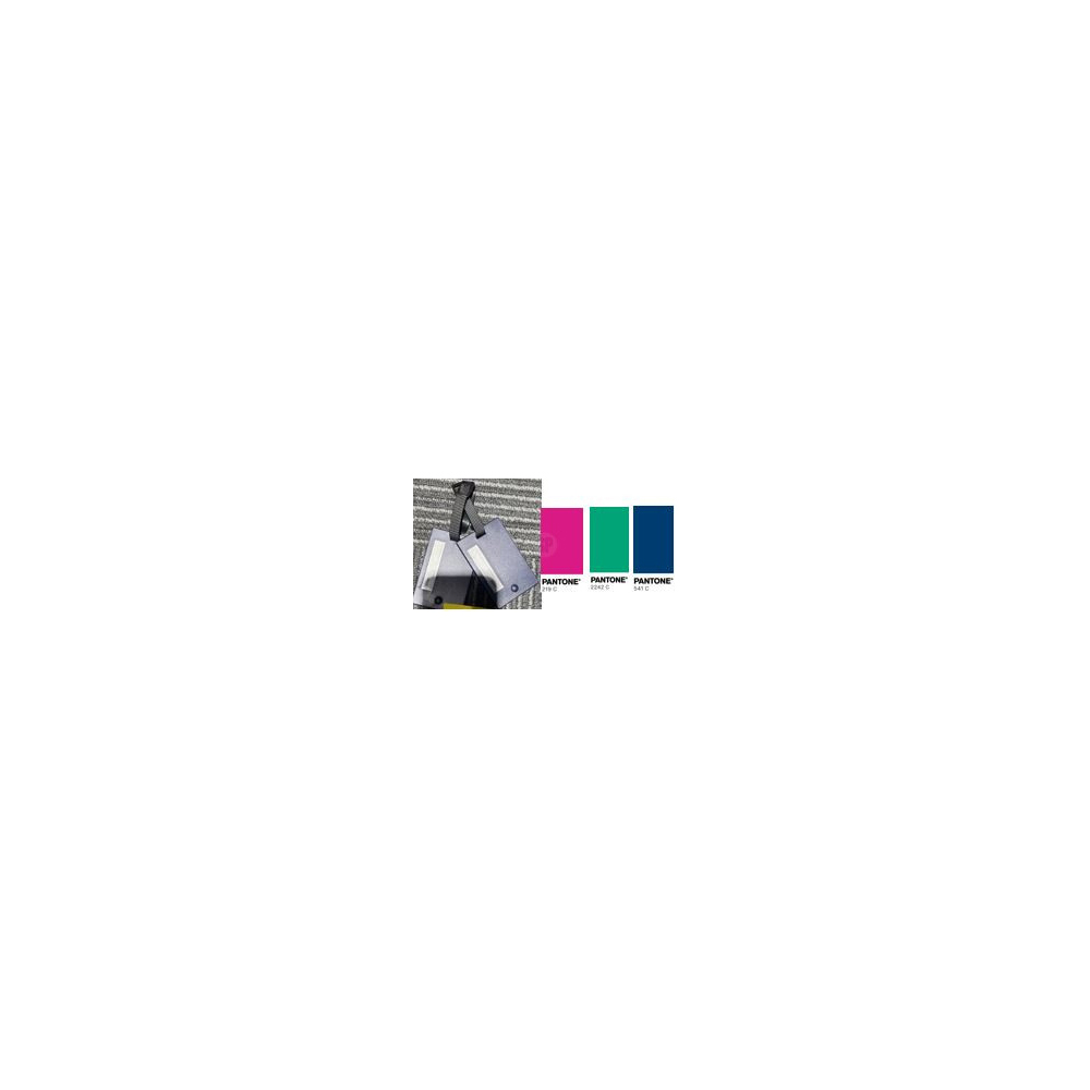 luggage-tag-set-of-2-pieces-3-assorted-colours