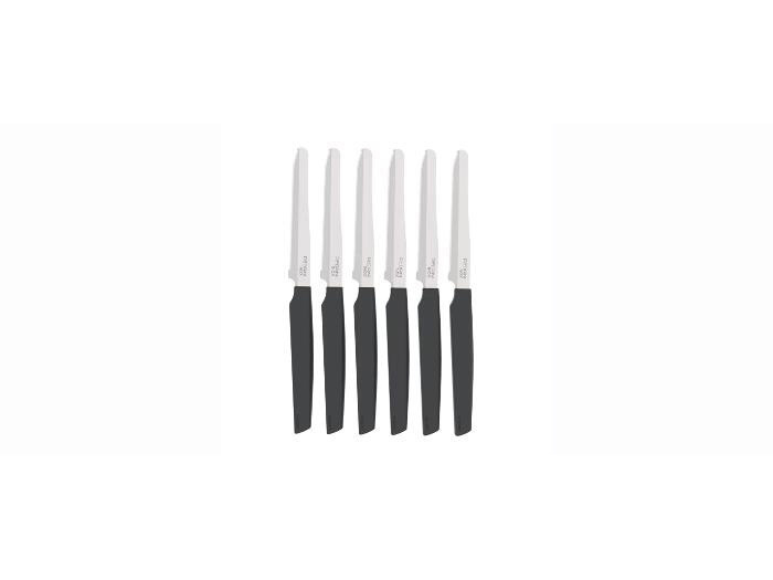 pedrini-6-table-knives-10-5-cm-black-handle