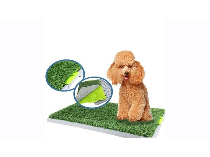 green-potty-trainer-for-dogs-43-x-68-5-cm