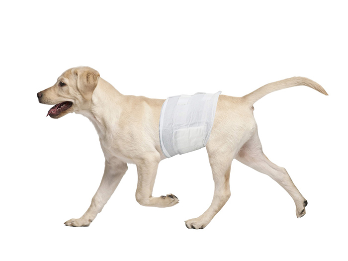 pawise-disposable-large-nappy-wrap-for-male-pets-45-90-lbs-pack-of-12-pieces