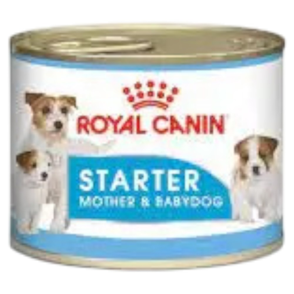 royal-canin-starter-mousse-wet-dog-food-195-g