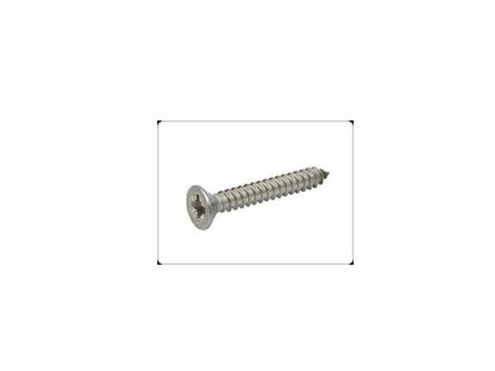 stainless-steel-self-tapping-screw-x-1-42016