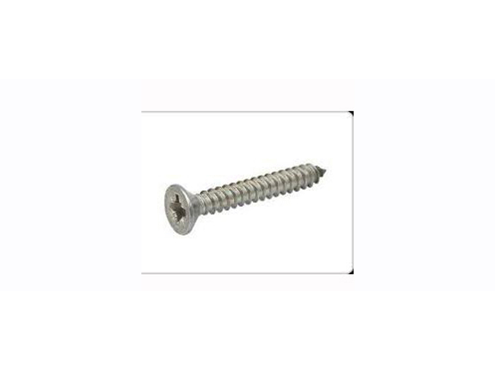 stainless-steel-flanged-head-self-tapping-screw